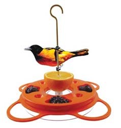 Oriole Fest