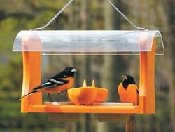 Recycled Oriole feeder