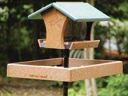 Rec Feeder