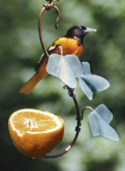Holland Hill Fruit Feeder