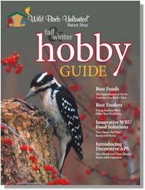 2009 Fall & Winter Hobby Guide